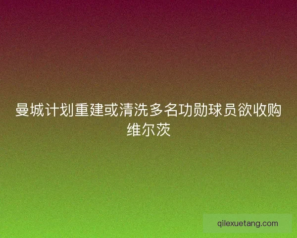 曼城计划重建或清洗多名功勋球员欲收购维尔茨