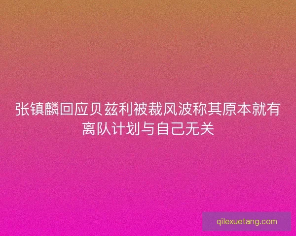 张镇麟回应贝兹利被裁风波称其原本就有离队计划与自己无关
